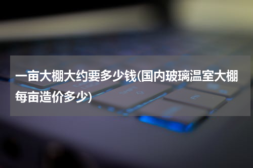 一亩大棚大约要多少钱(国内玻璃温室大棚每亩造价多少)