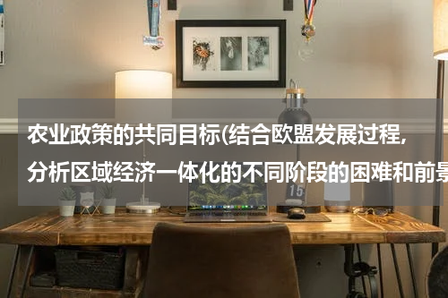 农业政策的共同目标(结合欧盟发展过程,分析区域经济一体化的不同阶段的困难和前景是什么?)