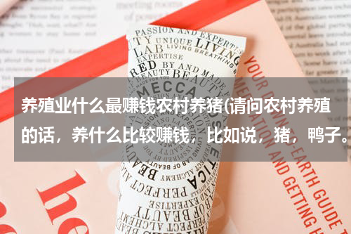 养殖业什么最赚钱农村养猪(请问农村养殖的话，养什么比较赚钱，比如说，猪，鸭子。风险和利润明)
