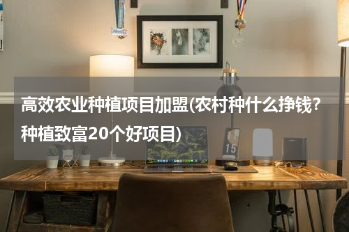 高效农业种植项目加盟(农村种什么挣钱？种植致富20个好项目)