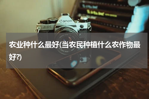 农业种什么最好(当农民种植什么农作物最好?)