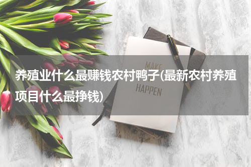 养殖业什么最赚钱农村鸭子(最新农村养殖项目什么最挣钱)