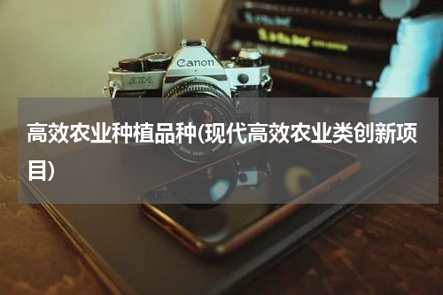 高效农业种植品种(现代高效农业类创新项目)