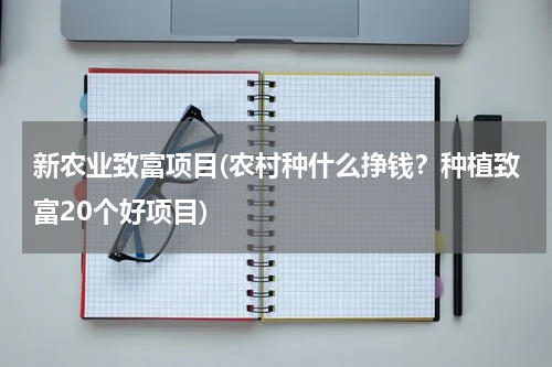 新农业致富项目(农村种什么挣钱？种植致富20个好项目)