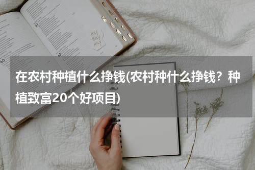 在农村种植什么挣钱(农村种什么挣钱？种植致富20个好项目)