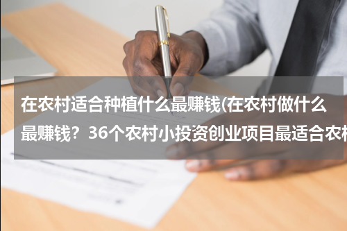 在农村适合种植什么最赚钱(在农村做什么最赚钱？36个农村小投资创业项目最适合农村发展)