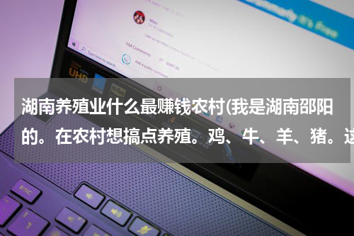 湖南养殖业什么最赚钱农村(我是湖南邵阳的。在农村想搞点养殖。鸡、牛、羊、猪。这几个不知道养什么好。请有经验的人介绍下，比较好养。利润也不差的。养什么好)