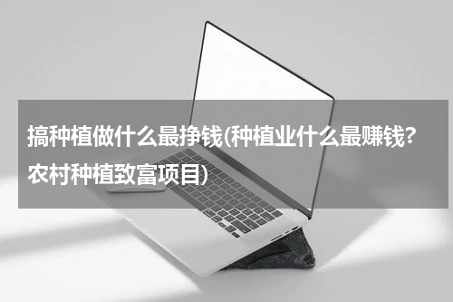 搞种植做什么最挣钱(种植业什么最赚钱?农村种植致富项目)