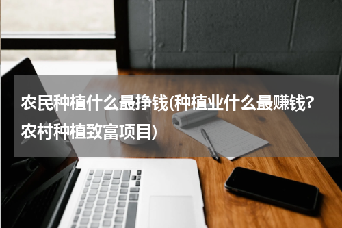 农民种植什么最挣钱(种植业什么最赚钱?农村种植致富项目)