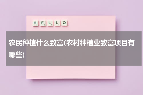 农民种植什么致富(农村种植业致富项目有哪些)