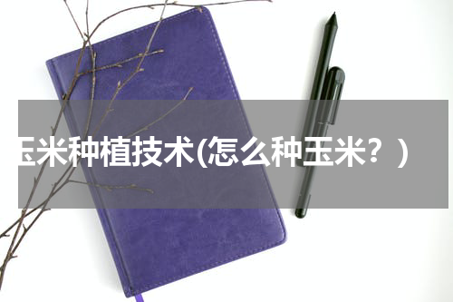 玉米种植技术(怎么种玉米？)