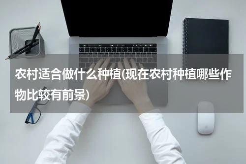 农村适合做什么种植(现在农村种植哪些作物比较有前景)