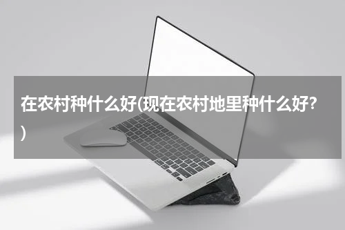 在农村种什么好(现在农村地里种什么好？)