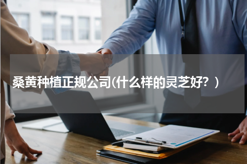 桑黄种植正规公司(什么样的灵芝好？)