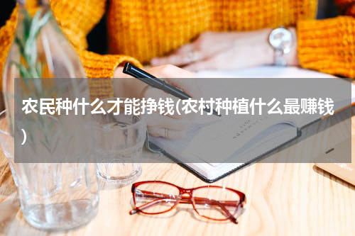 农民种什么才能挣钱(农村种植什么最赚钱)