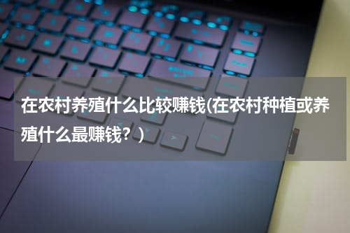 在农村养殖什么比较赚钱(在农村种植或养殖什么最赚钱？)