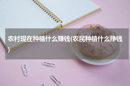 农村现在种植什么赚钱(农民种植什么挣钱)