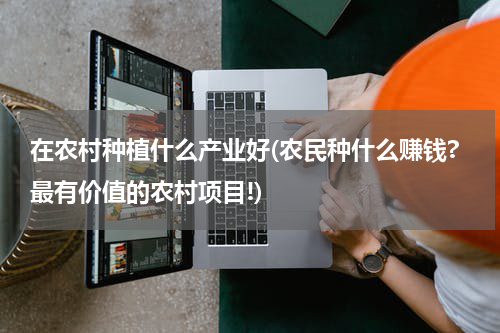 在农村种植什么产业好(农民种什么赚钱?最有价值的农村项目!)