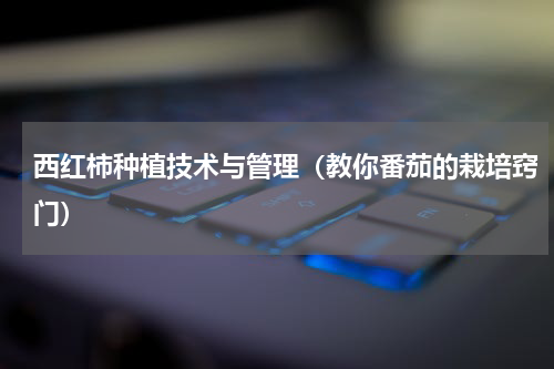 西红柿种植技术与管理（教你番茄的栽培窍门）