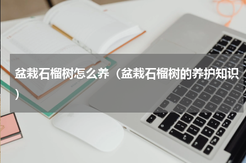 盆栽石榴树怎么养（盆栽石榴树的养护知识）