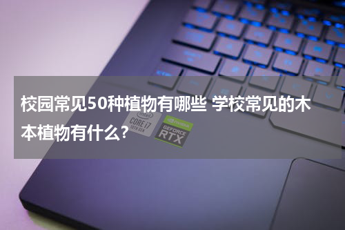 校园常见50种植物有哪些 学校常见的木本植物有什么？
