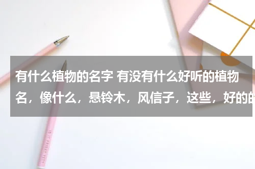 有什么植物的名字 有没有什么好听的植物名，像什么，悬铃木，风信子，这些，好的的都行