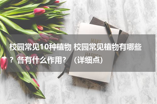 校园常见10种植物 校园常见植物有哪些？各有什么作用？（详细点）