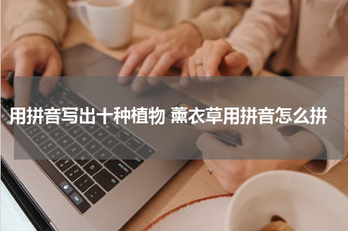 用拼音写出十种植物 薰衣草用拼音怎么拼