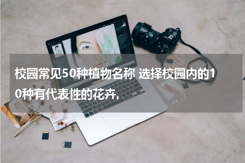 校园常见50种植物名称 选择校园内的10种有代表性的花卉,
