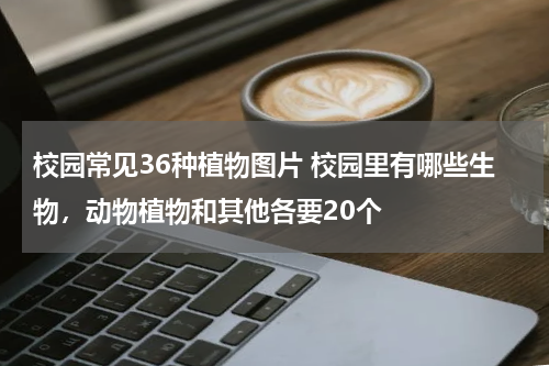 校园常见36种植物图片 校园里有哪些生物，动物植物和其他各要20个