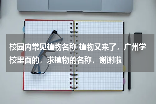 校园内常见植物名称 植物又来了，广州学校里面的，求植物的名称，谢谢啦