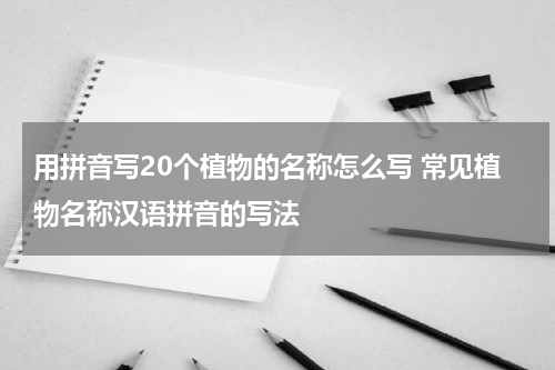 用拼音写20个植物的名称怎么写 常见植物名称汉语拼音的写法