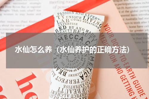 水仙怎么养（水仙养护的正确方法）