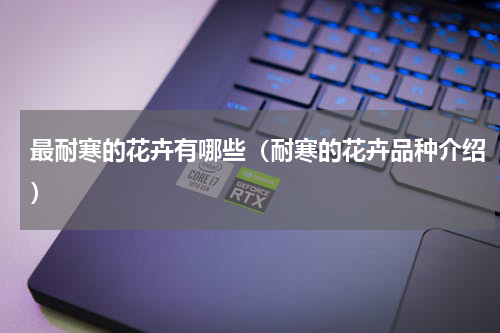 最耐寒的花卉有哪些（耐寒的花卉品种介绍）