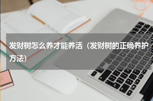 发财树怎么养才能养活（发财树的正确养护方法）