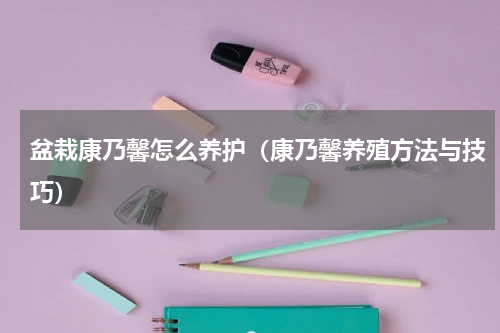 盆栽康乃馨怎么养护（康乃馨养殖方法与技巧）