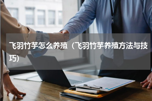 飞羽竹芋怎么养殖（飞羽竹芋养殖方法与技巧）