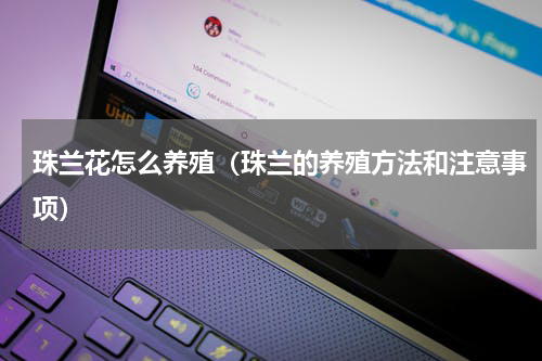 珠兰花怎么养殖（珠兰的养殖方法和注意事项）
