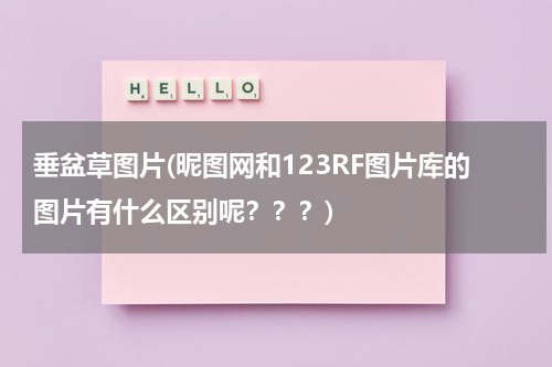垂盆草图片(昵图网和123RF图片库的图片有什么区别呢？？？)