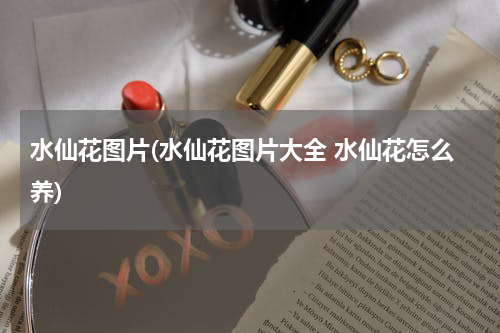 水仙花图片(水仙花图片大全 水仙花怎么养)
