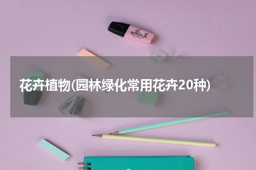 花卉植物(园林绿化常用花卉20种)