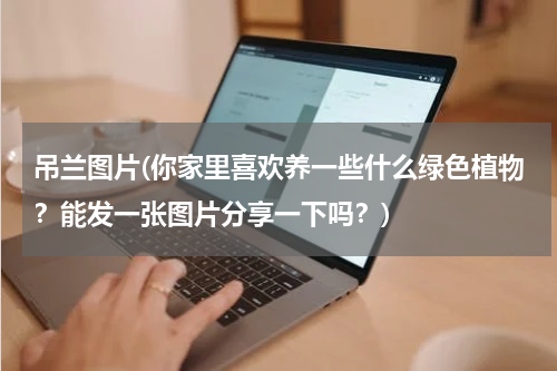 吊兰图片(你家里喜欢养一些什么绿色植物？能发一张图片分享一下吗？)