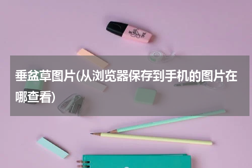 垂盆草图片(从浏览器保存到手机的图片在哪查看)