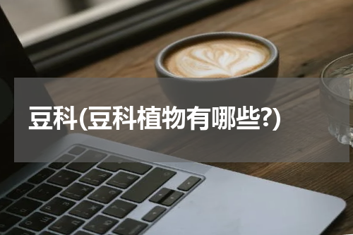 豆科(豆科植物有哪些?)