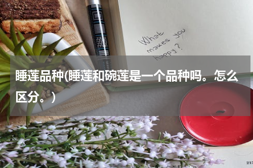 睡莲品种(睡莲和碗莲是一个品种吗。怎么区分。)