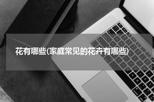 花有哪些(家庭常见的花卉有哪些)