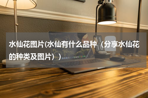 水仙花图片(水仙有什么品种（分享水仙花的种类及图片）)