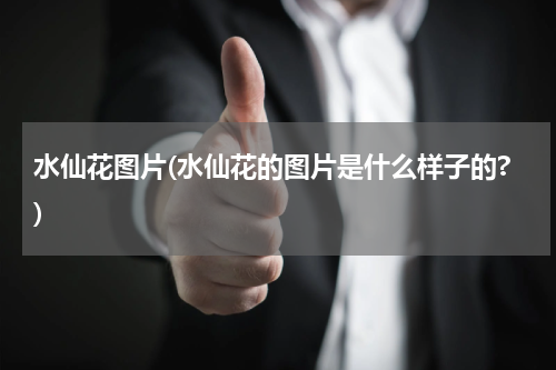水仙花图片(水仙花的图片是什么样子的?)