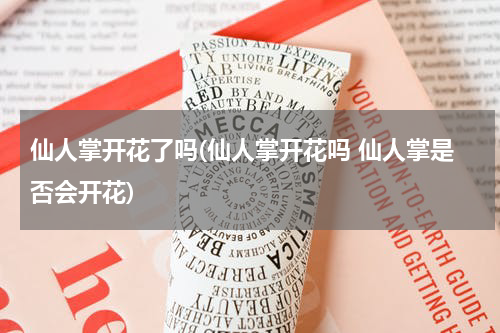 仙人掌开花了吗(仙人掌开花吗 仙人掌是否会开花)