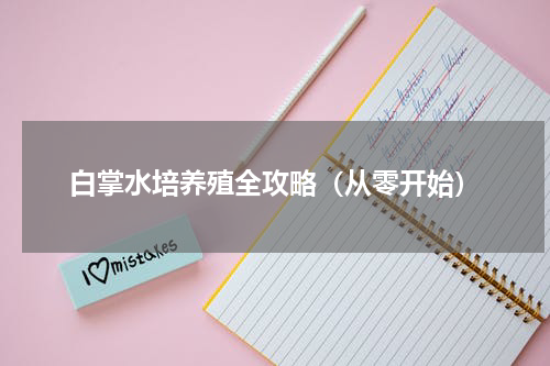 白掌水培养殖全攻略（从零开始）